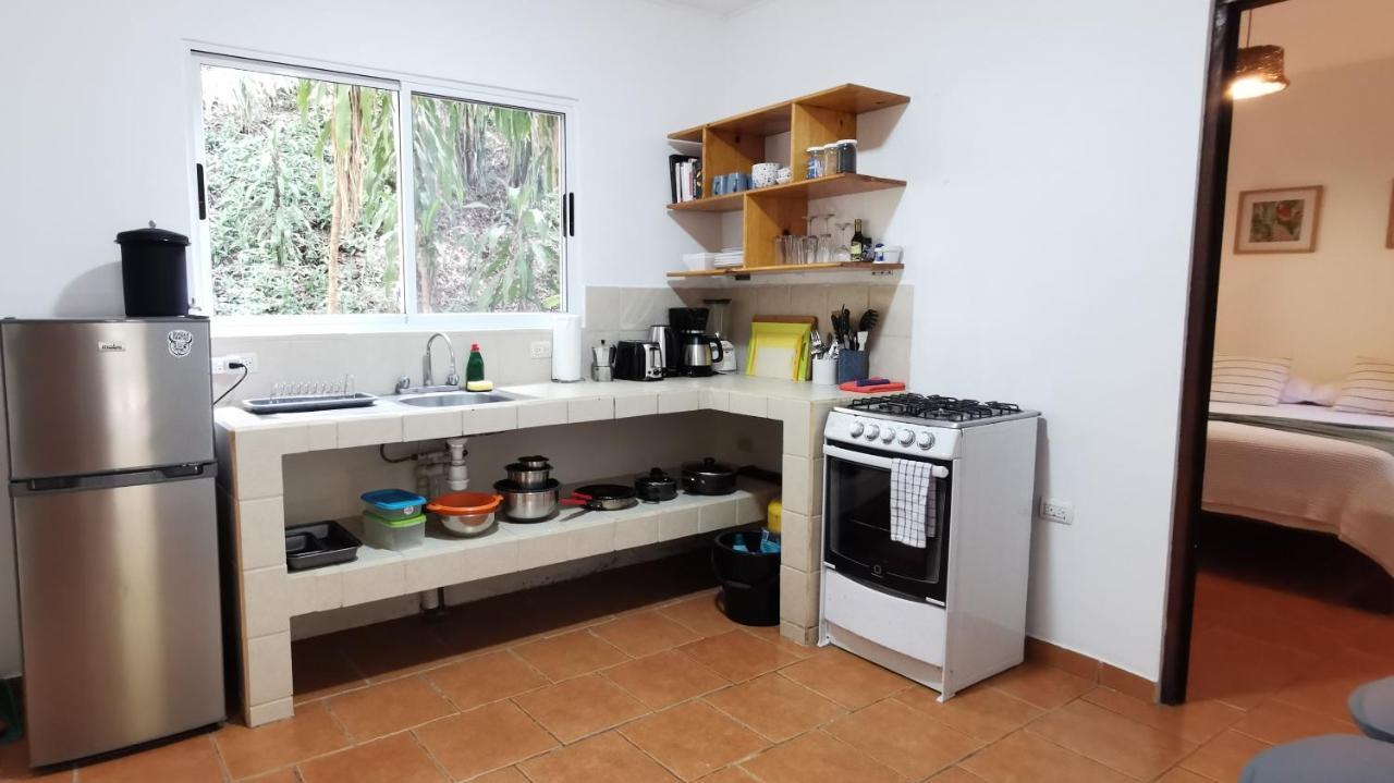 Colibri Apartments - 4 Min Walk To The Beach! Playa Santa Teresa  Eksteriør bilde