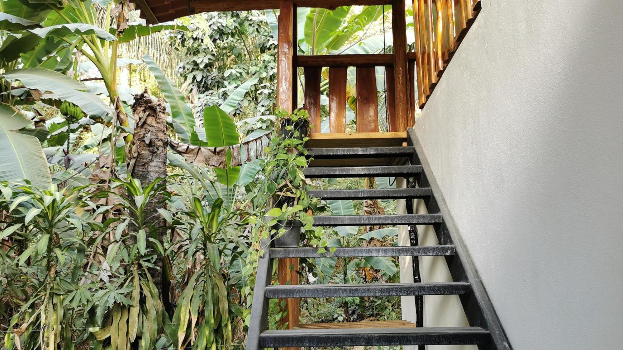 Colibri Apartments - 4 Min Walk To The Beach! Playa Santa Teresa  Rom bilde