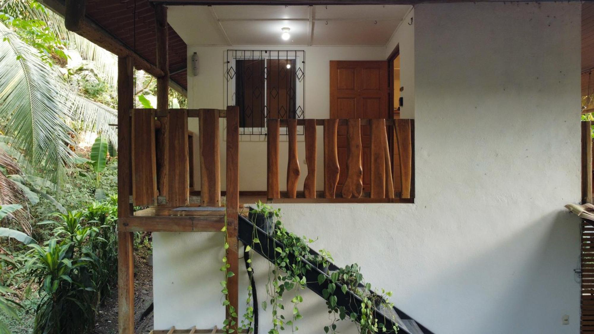 Colibri Apartments - 4 Min Walk To The Beach! Playa Santa Teresa  Rom bilde