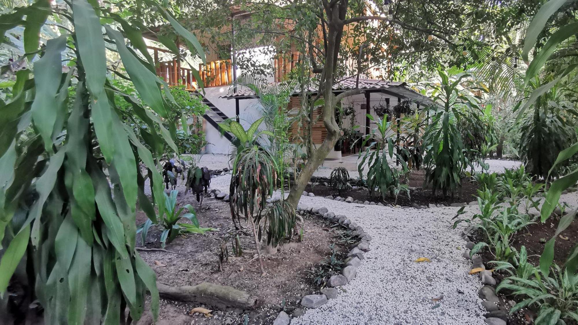 Colibri Apartments - 4 Min Walk To The Beach! Playa Santa Teresa  Rom bilde