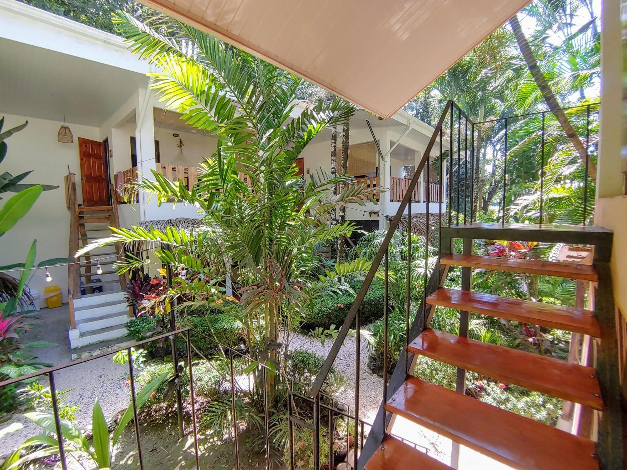 Colibri Apartments - 4 Min Walk To The Beach! Playa Santa Teresa  Eksteriør bilde